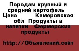 Породам крупный и средний картофель › Цена ­ 120 - Кемеровская обл. Продукты и напитки » Фермерские продукты   